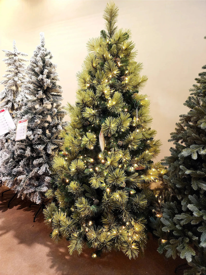 Árvore Pinheiro Colorado 2m • 1000 Galhos • 300 LEDs Warm Bivolt